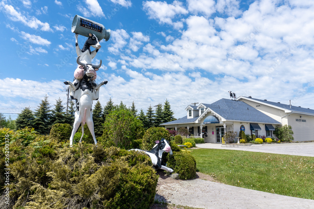Sault Ste Marie, Ontario, Canada Holy Cow Ice Cream Parlour Lock City Dairies. Three cows one