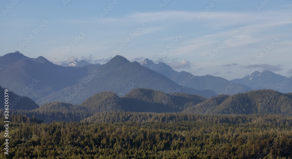 Green Trees and Mountain Landscape on the Pacific Ocean West Coast. Tofino, Vancouver Island, British Columbia, Canada. Canadian Nature Background.