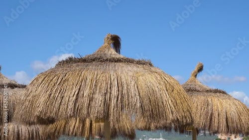 Beach Straw umbrellas waving on the beach of Palma de Mallorca - Spain