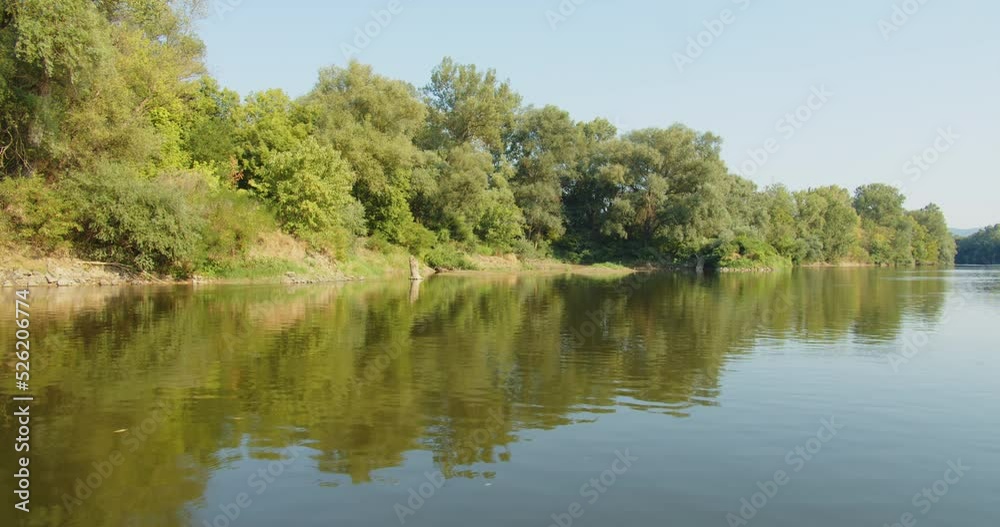 Beautiful scene of forest riverside on a sunny day in the summer season, motion view from the boat. Beautiful scene of forest riverside on a sunny day in the summer season, motion view from the boat.