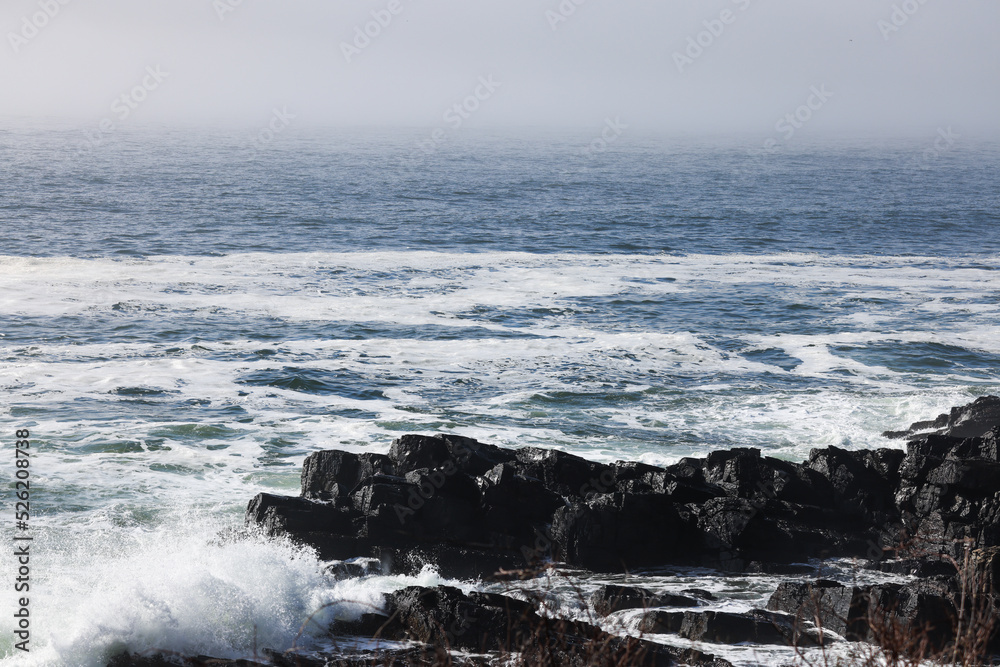 Ocean waves on a rocky shore with fog