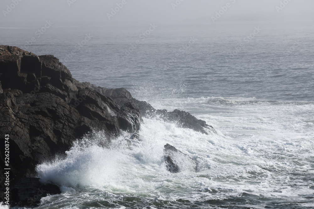 Ocean waves crashing onto a rocky shore on a foggy morning