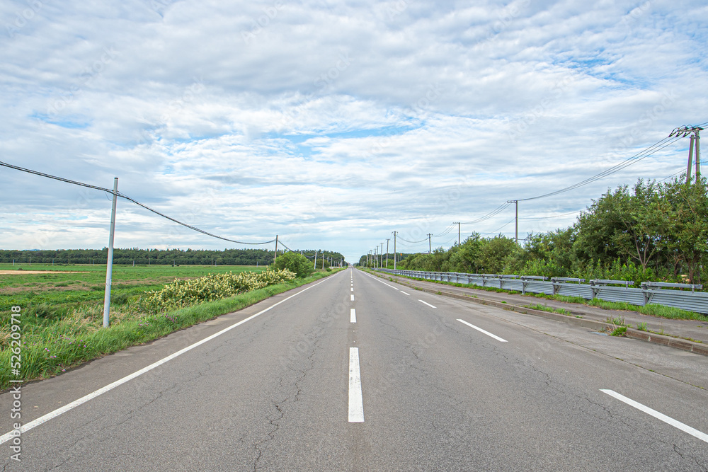 Fototapeta premium 北海道の道