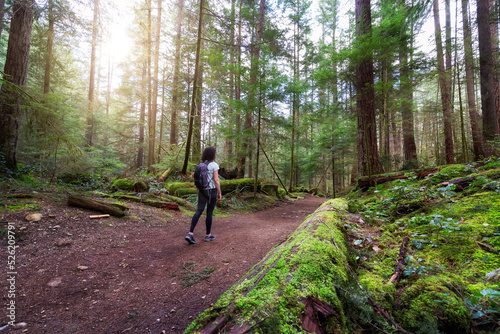 Adventure Woman Hiking on a Trail in a vibrant forest with green trees. Canadian Nature. Buntzen Lake Loop Trail, Anmore, Vancouver, BC, Canada. © edb3_16
