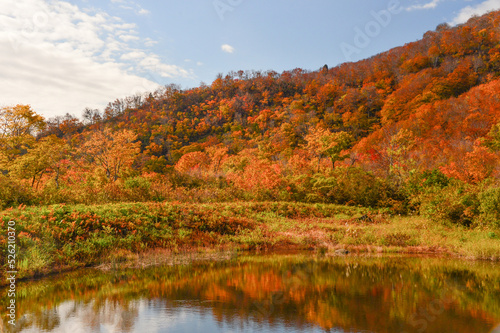 秋色の山林 湖 紅葉