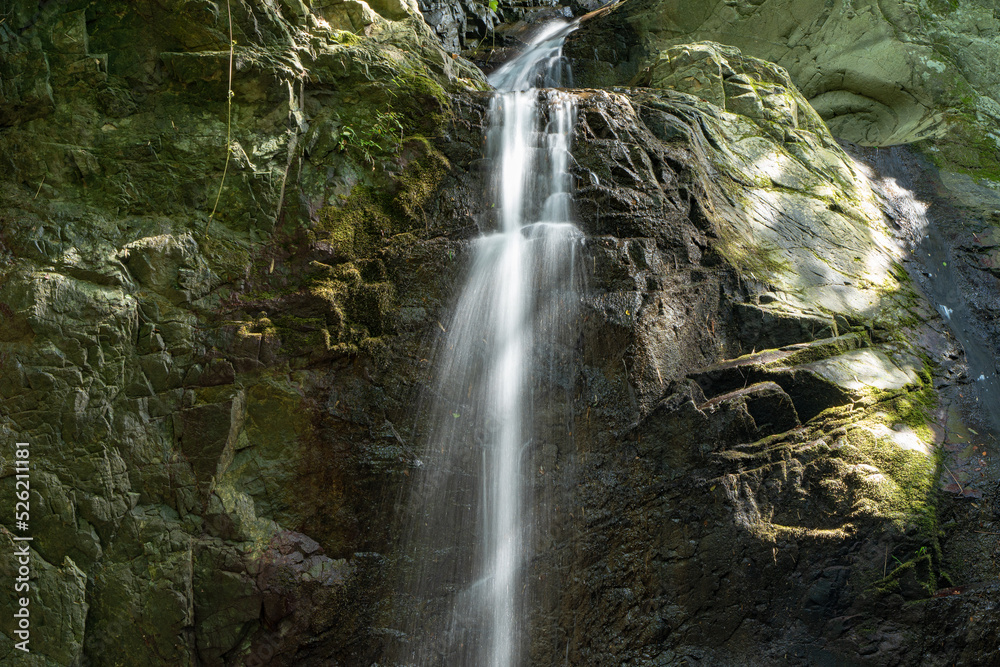 Obraz premium 住宅街の近くを流れる遊来の滝