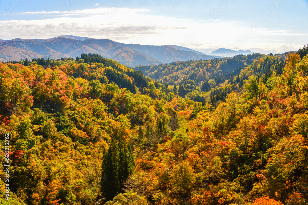 秋色に染まる山々　長野県　渋峠