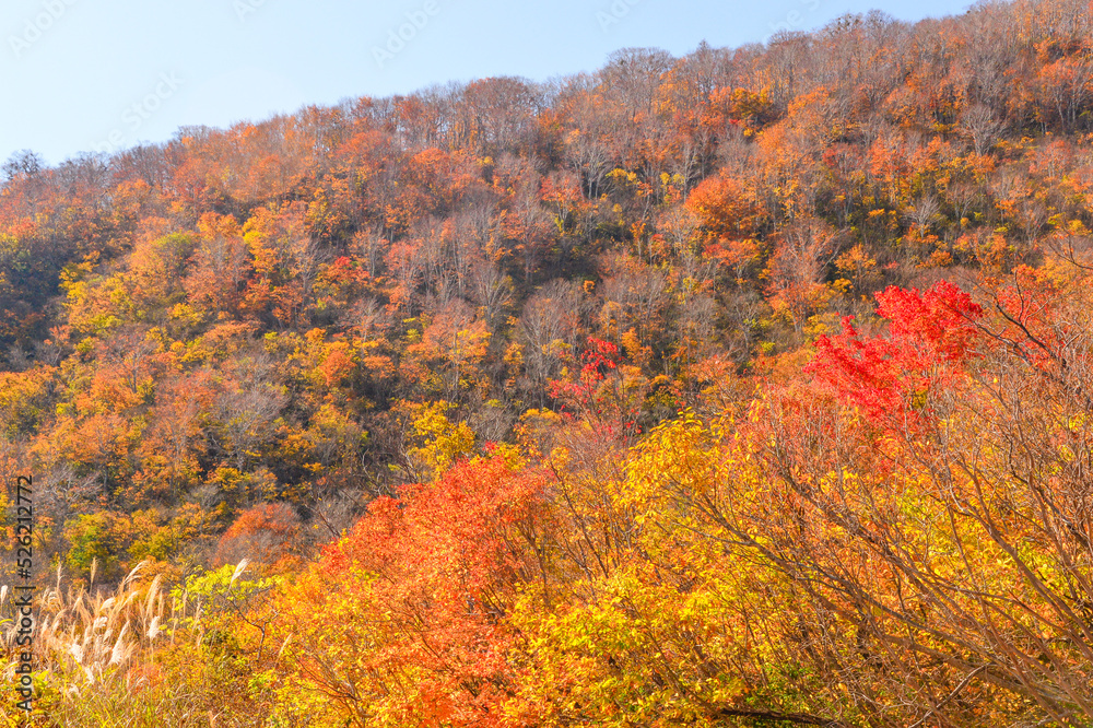 秋色に染まる山々　長野県　渋峠