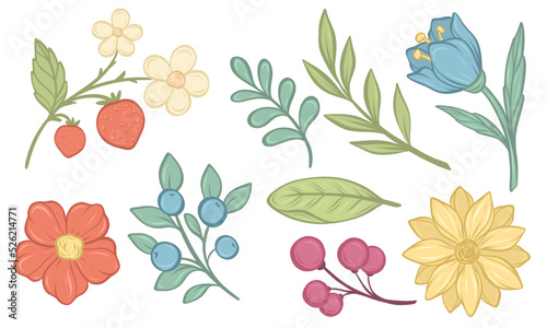 Hand-drawn folk vector floral decorative elements of flowers, leaves, berries 