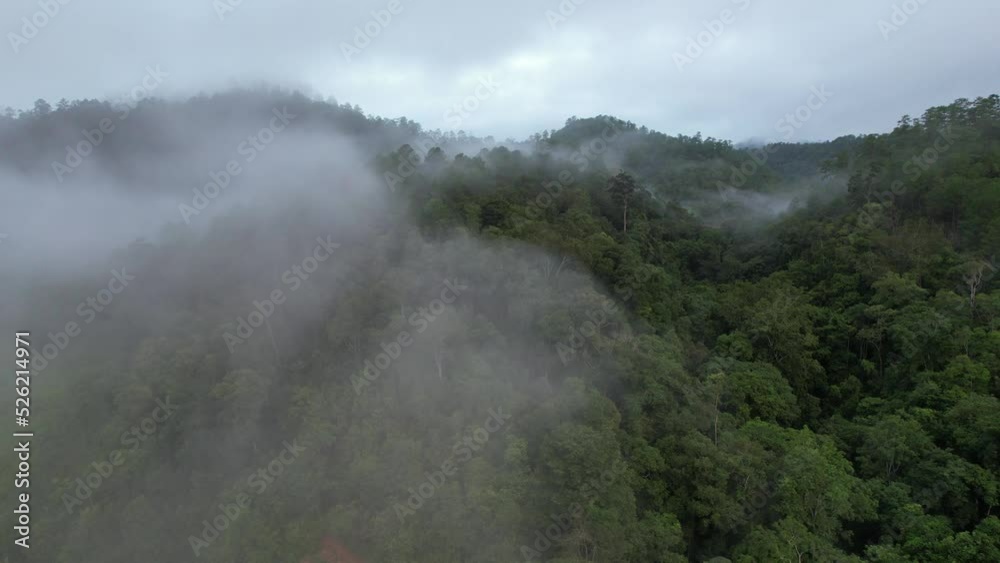 Aerial landscape view of greenery rainforest and hills on foggy day by drone Aerial landscape view of greenery rainforest and hills on foggy day by drone