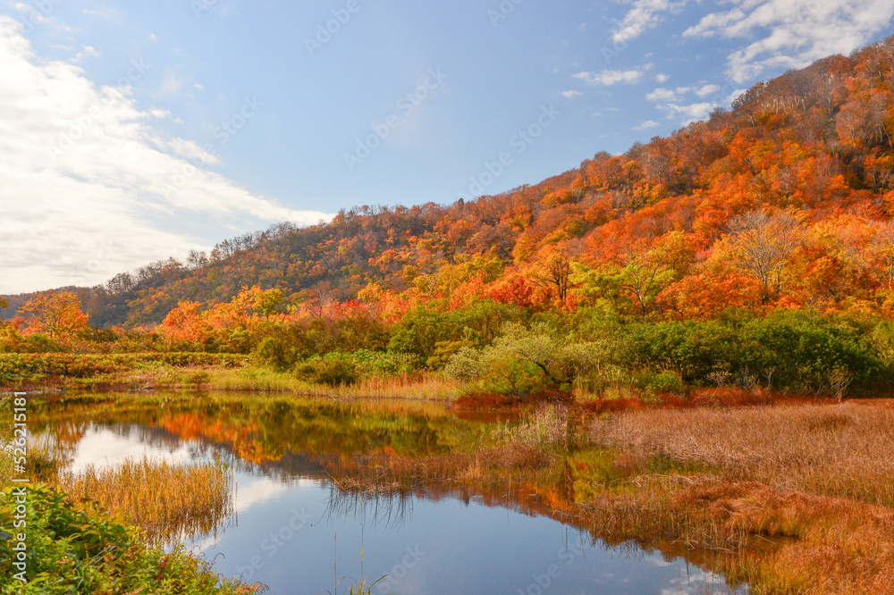 秋色の山林　湖　紅葉