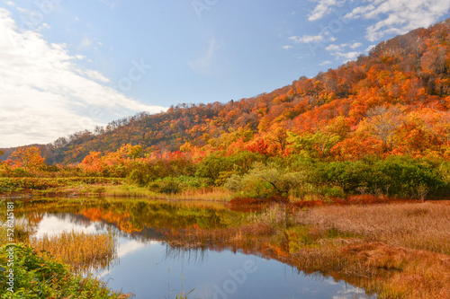 秋色の山林 湖 紅葉
