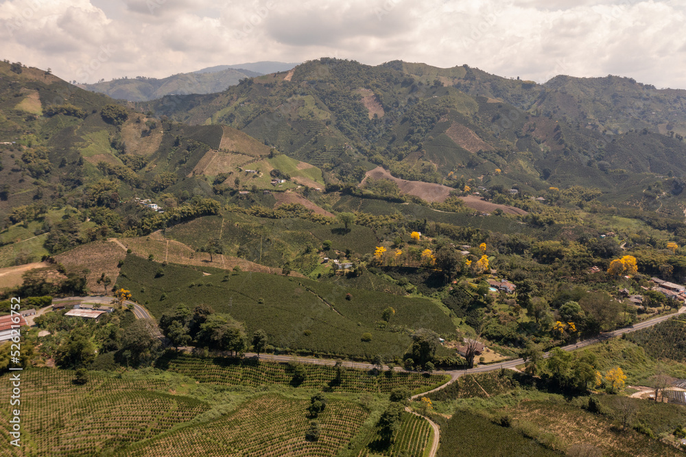 Rural highway between farm fields in a Colombian landscape