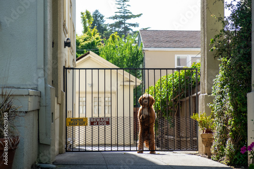 Beware of a dog in front of a house