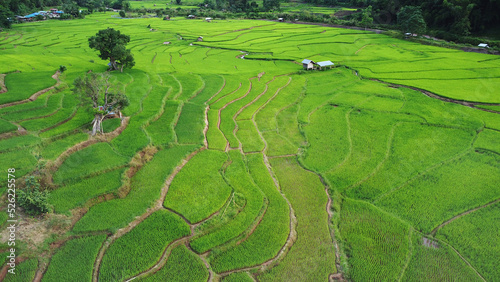 Fotografie Beautiful aerial view of rice terrace in the valley in North of Thailand