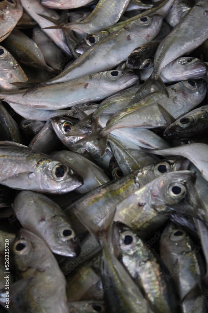 Frischer Fisch auf Fischmarkt Frischer Fisch auf Fischmarkt