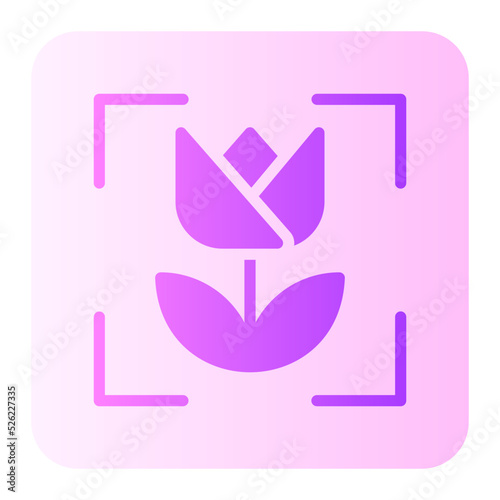macro Flat icon