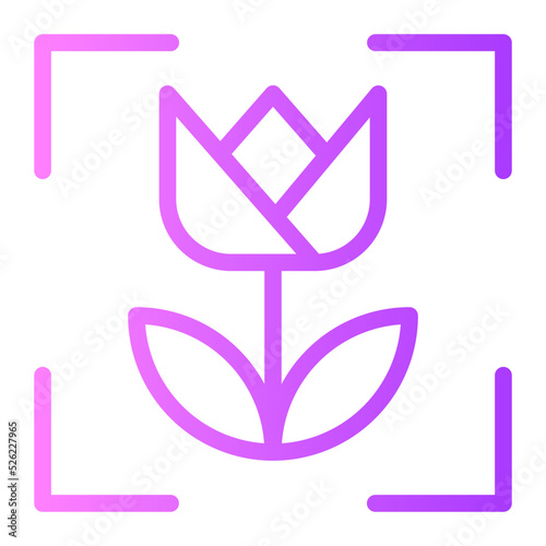 macro gradient icon
