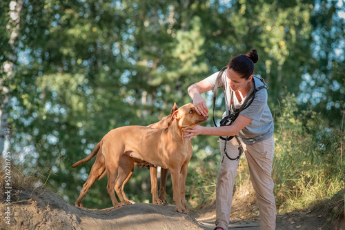 Girl cynologist trains an American pit bull terrier in the park.