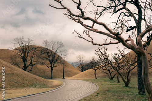 Trees and yellow hills at the Daereungwon Tomb Complex in Gyeongju South Korea on a cloudy winter day photo