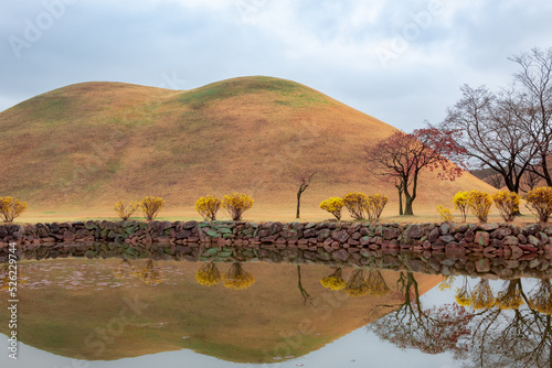 Yellow tomb hills and trees at Daereungwon Tomb Complex in Gyeongju South Korea on a cloudy winter day photo