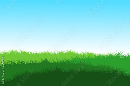 grass hills. grassland background