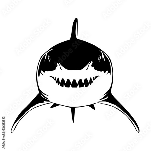 Vector illustration of a shark