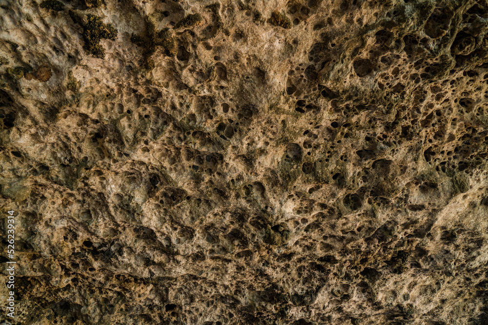 Details of the coral cliffs are like caves with many textured cavities along the coast, very unique and amazing Details of the coral cliffs are like caves with many textured cavities along the coast, very unique and amazing