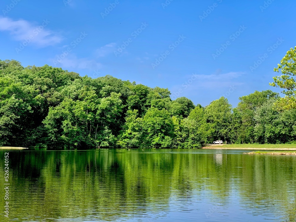 landscape with lake