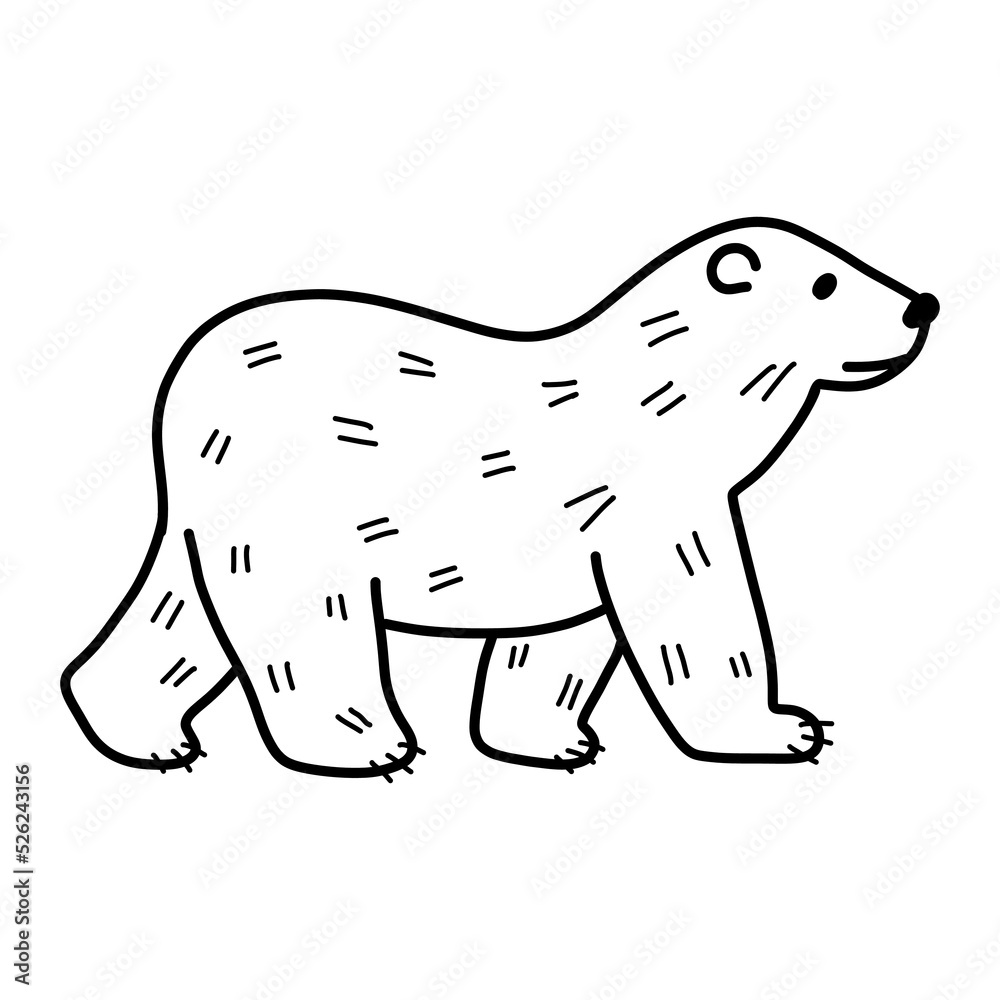 Bear in hand drawn doodle style . Vector illustration isolated on white background for print and poster. Outline design. Bear in hand drawn doodle style . Vector illustration isolated on white background for print and poster. Outline design.