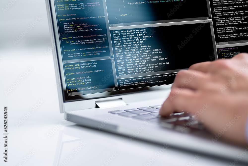 Computer Programmer Using Development Software Computer Programmer Using Development Software