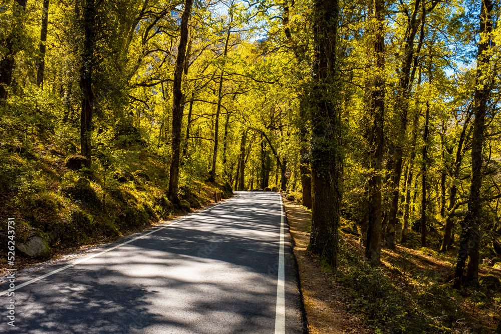Obraz premium Parque Nacional da Peneda-Gerês