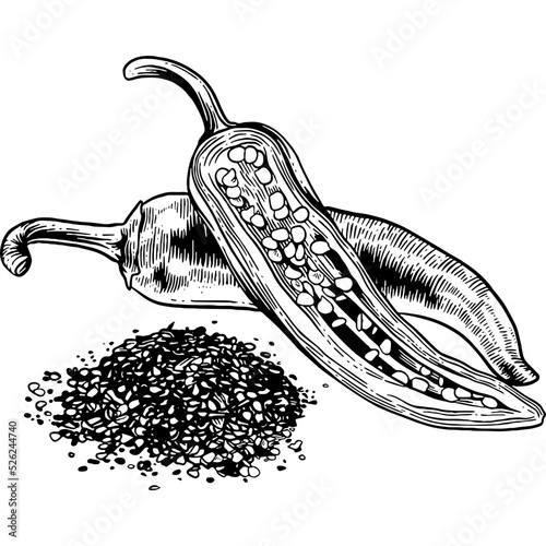 Hand drawn Chili Pepper Flakes