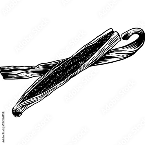 Hand drawn Vanilla Bean