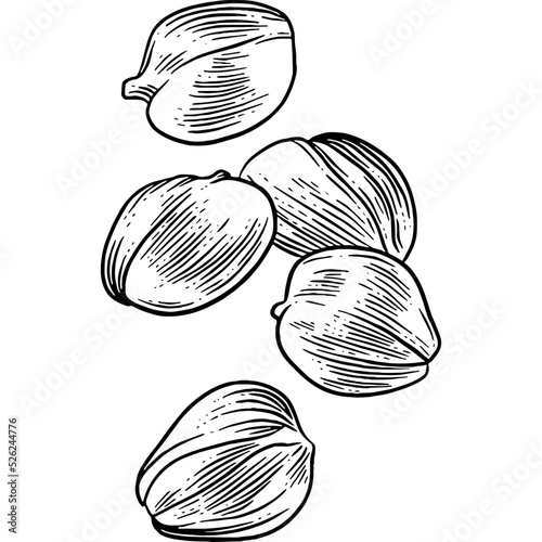 Hand drawn Capers