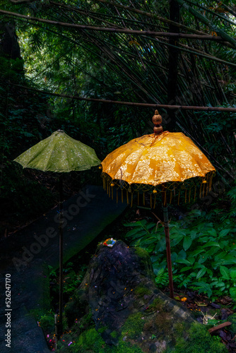green and yellow tendung (umbrella) in the forest