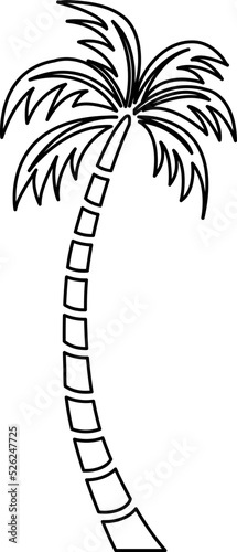 Palm trees isolated on white background. Beautiful vectror palma tree on white background