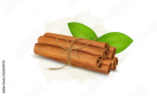 Cinnamon Sticks bundle with green leaves vector illustration