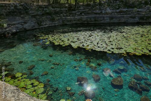 Dzibilchaltun, Mexico, :Cenote Xlacah situated in Dzibilchaltun zona archeologica area in Mexico