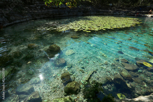 Dzibilchaltun, Mexico, :Cenote Xlacah situated in Dzibilchaltun zona archeologica area in Mexico