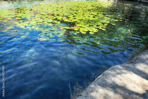 Dzibilchaltun, Mexico, :Cenote Xlacah situated in Dzibilchaltun zona archeologica area in Mexico