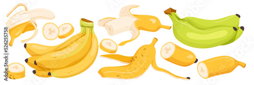 Banana set vector illustration. Cartoon isolated whole, cut in half or slices of sweet banana with peel and bunch of ripe yellow or green unripe fruit, natural food snack for vegetarian nutrition