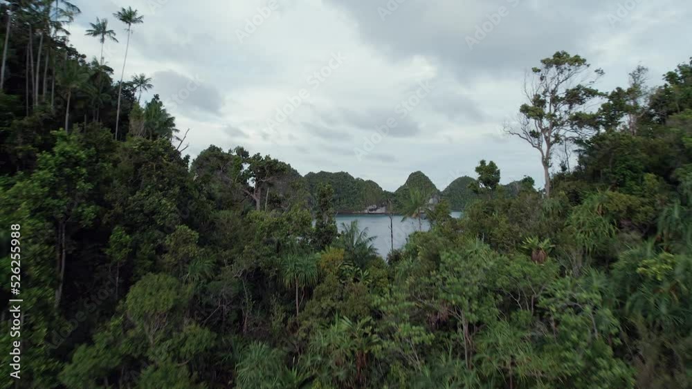 Raja Ampat from the sky - Indonesia Raja Ampat from the sky - Indonesia