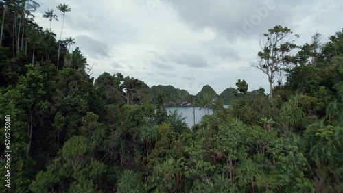 Raja Ampat from the sky - Indonesia 