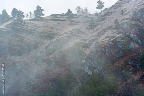 Morning landscape. Fog in the mountains