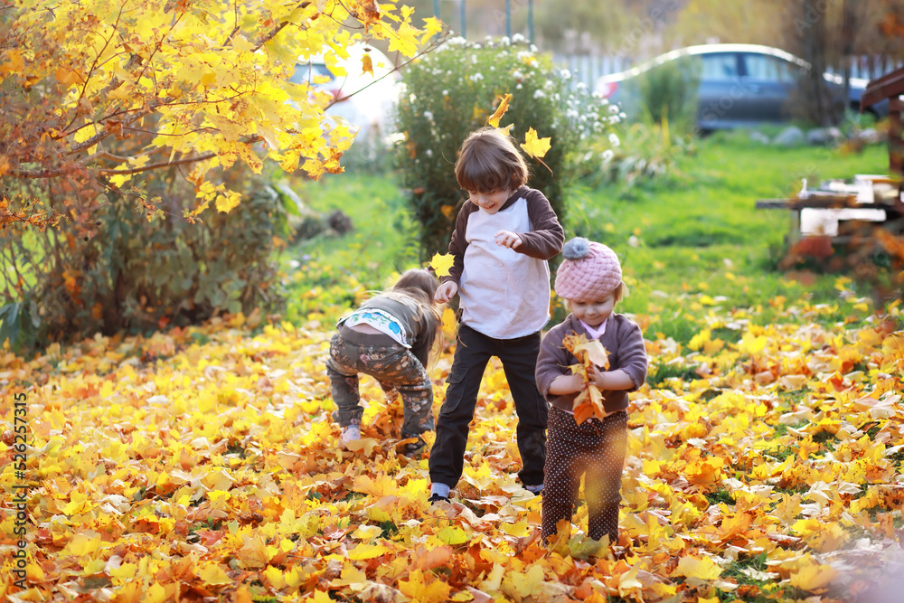 Fototapeta premium Young family on a walk in the autumn park on a sunny day. Happiness to be together.