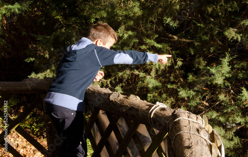 Happy little boy enjoy to play in forest