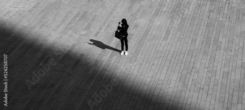 Εκτύπωση καμβά Standing alone