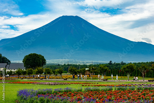 夏の富士と花畑 © Kousuke