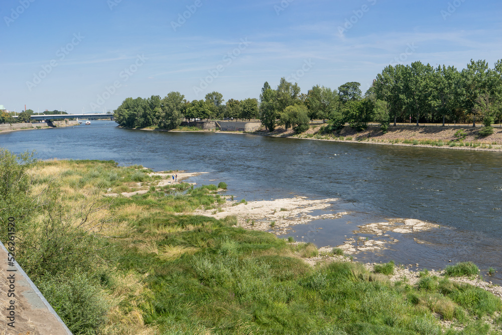 Elbe in Magdeburg with low water in summer 2022